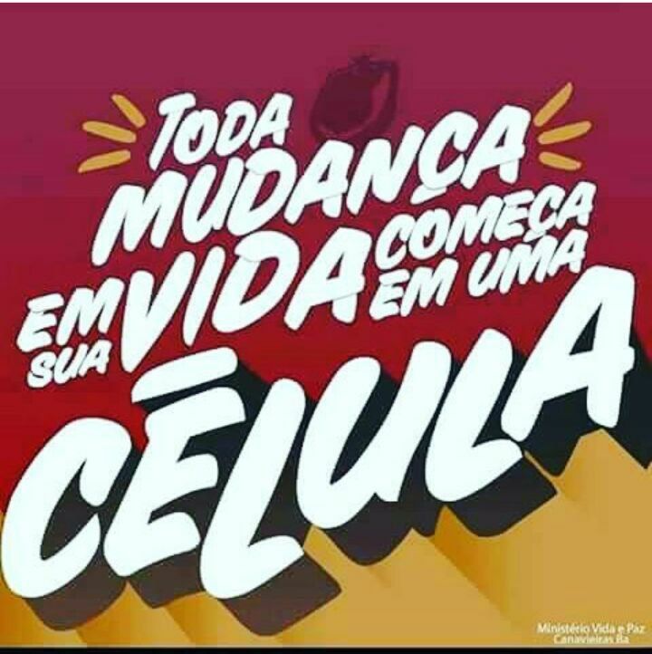 SUA CÉLULA
